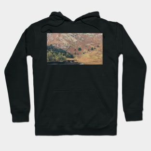 Blea Tarn from Lingmoor Fell Hoodie